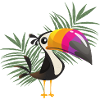 toucan