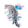 Snow Leopard