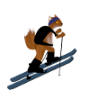 Ski Skitour Fuchs Wintersport