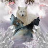 Loups impressionnants
