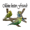 Wellensittiche