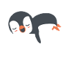 Penguin Funny Animals