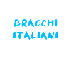 Bracco Italiano