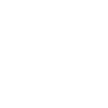 Guinée 224