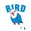 oiseau perruque femme cadeau