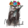 Ma loutre animale d’