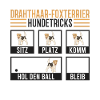 Foxterrier Hundetricks Drahthaar-Foxterrier