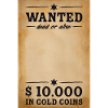 WANTED Poster