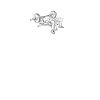 Powerlifting Bench Press Heartbeat Kraftsport Gym