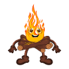 Campfire Fire