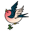swallow