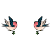 Swallow couple