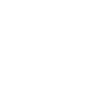 Bull Terrier