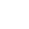 1961 limited edition
