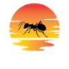 Ant Sunset
