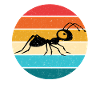 Ant