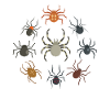 Spiders