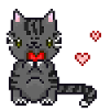 Cat with heart