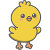 Cute Chicken