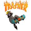 raccoon skateboard