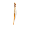 Ganz dünnes Eis