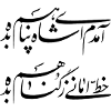 Persian Calligraphy 5