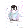 Petit pingouin