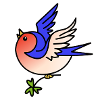 Swallow
