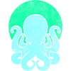 Octopus Squid Octopus Kalmar