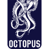 Octopus Squid Octopus Kalmar