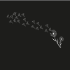 Dandelion Pusteblume