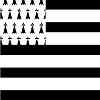 Breton flag mask