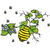 beehive on my tree