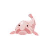 blobfish spirit animal, blobfish