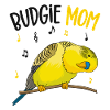 Budgerigar