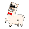 Alpaca