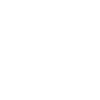 The Master of Disaster
