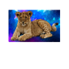 Lion Polygon