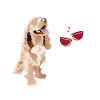 Cocker Spaniel