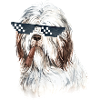 Chill Dog