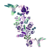 kolibri, aquarelle,oiseau, fleurs, illustration,