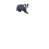 Badger heartbeat