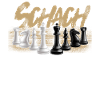Schach