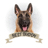 Malinois Belgian Shepherd