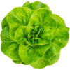 Salat