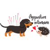 Veterinary acupuncture