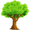 Arbre