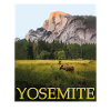 Yosemite Wild Nature