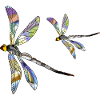 Dragonflies