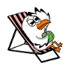 Mouette sur la plage